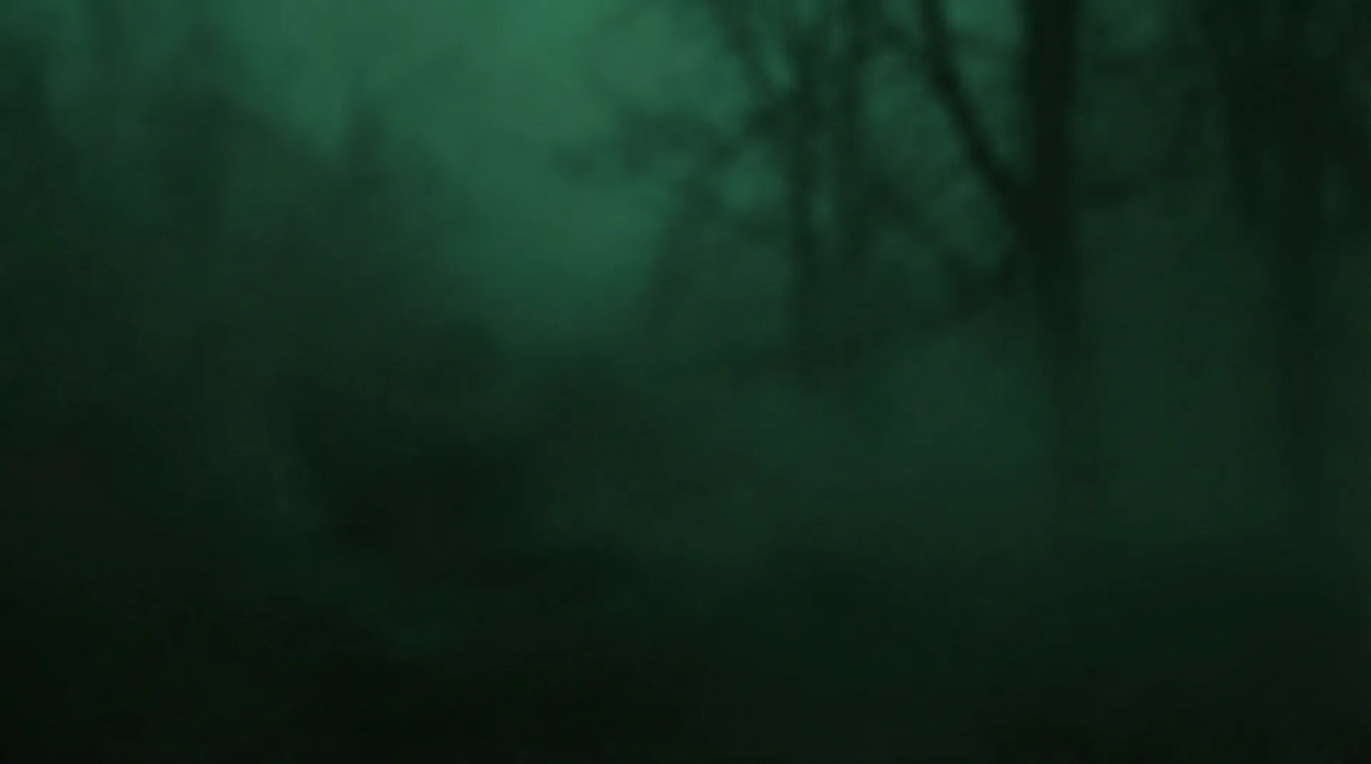 绿奴 匿名心理咨询 - 绝对私密的咨询空间